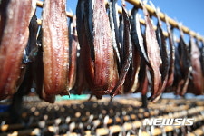 [맛있는 여행]"떠나자 과메기가 기다리는 포항으로…"