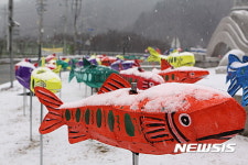 첫눈 내린 산천어 마을