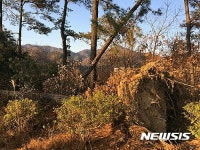태양광발전소 건설로 훼손된 임야