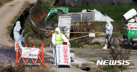 나주 AI 오리농장 살처분 준비작업