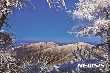 [단양소식]눈꽃 장관 연출하는 소백산 등