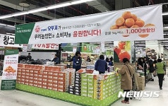 농협, 11일까지 제주감귤 할인 행사