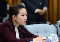 의원들 질의에 답하는 이현주 컨설팅 대표