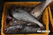 전남신안 재원도, 그 섬의 모든 것 영상다큐로