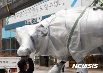대신증권 앞 옮겨지는 황소 조형물