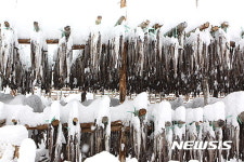 겨울 맞은 황태마을