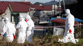 나주서 10번째 AI발생…오리 2만6000마리 살처분