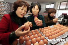 포천일고등학교 식용란직판장 | 명절 대비 식용란 수집판매업소 지도점검