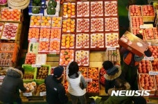 선물용 과일 구입