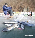 화천에서 즐기는 산천어 낚시