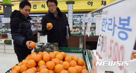 설 맞이 육류 및 제수용품 원산지 합동 점검