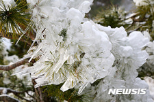 산청 동의보감촌 인공폭포 설경