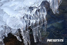 봄이 오나보다!