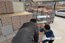 양산 계란 설 명절 이후 467만 개 반출