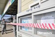 구제역 확산방지 전국 가축시장 폐쇄