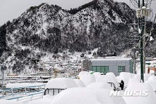 설국을 연상케 하는 울릉읍