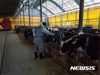 백신접종하는 고양시