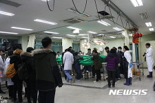 폐사한 울산 돌고래. 경북대 동물병원에서 부검