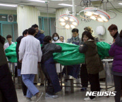 폐사한 울산 돌고래. 경북대 동물병원에서 부검