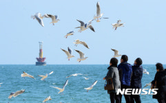 해운대 나들이