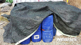 김양식장에 염산 사용한 양식어민 3명 입건