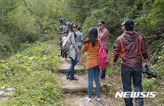 단양 소백산자락길 6코스 걷기 좋은 길 10선