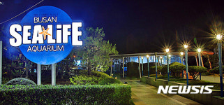 씨 라이프 부산아쿠아리움