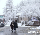 봄을 시샘하네요!