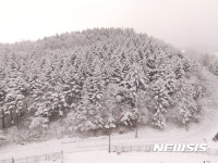 여기는 강원도 대관령