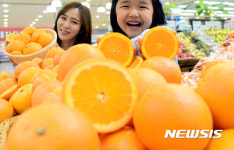 롯데마트 100% 당도 선별 마친 오렌지 판매