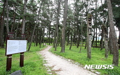 이번 주말 봄바람 맞으러 포항오세요!