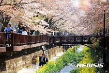 경남은 지금 꽃천지…3~5월 25개 봄축제 풍성