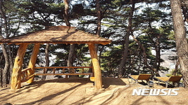 용인 태교의 숲 쉼터