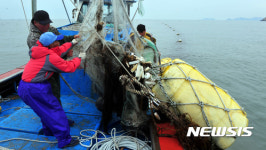 미역 상태 살피는 어민