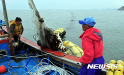 미역 상태 살피는 어민