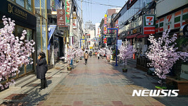 창동 창원상상길, 벚꽃 가득한 쌍쌍 데이트길로 변신