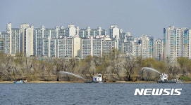 밤섬 대청소