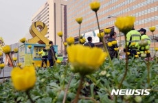 광화문 광장에도 봄이 왔어요