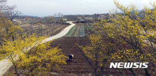 봄날, 농부의 일상