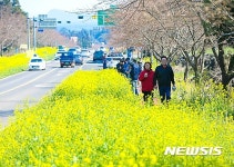 제주, 낮 최고 19도 맑고 포근…완연한 봄기운
