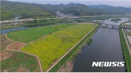 대구시, 금호강 하중도 봄꽃단지 8일 개방