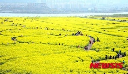부산관광공사, 부산 봄꽃과 서부산 여행코스 추천