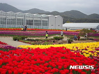 경남 고성군 플라워가든 5일 개장…7만 송이 튤립 등 봄꽃 향연