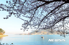 남해군은 푸른바다와 어울러진 봄꽃의 향연