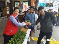 언양휴게소 묘목 나눔 이벤트