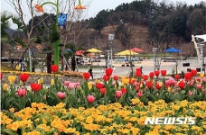 대전 오월드 튤립축제 놀러오세요