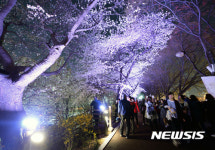 동대문구 봄꽃축제 개막