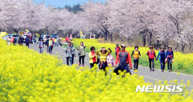 봄 찾아온 제주도