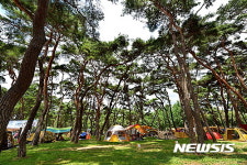 영동 송호관광지