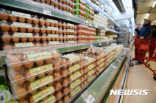 3개월 연속 상승한 계란 가격